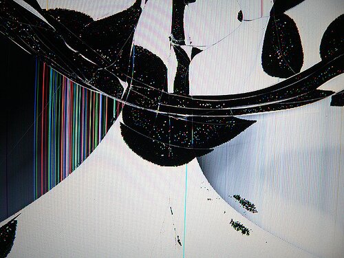 Pacini123's profile picture. 