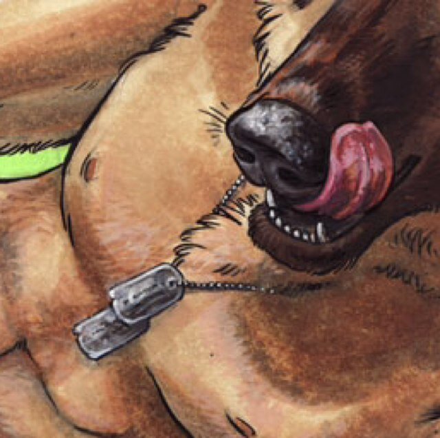 Just your average male, pansexual german shepherd. U.S Army, photography, video games and all things techy. Nature-nut. Can be #NSFW