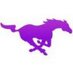 Mustang Library (@burgesmustangs) Twitter profile photo Mustang Library (@burgesmustangs) Twitter profile photo