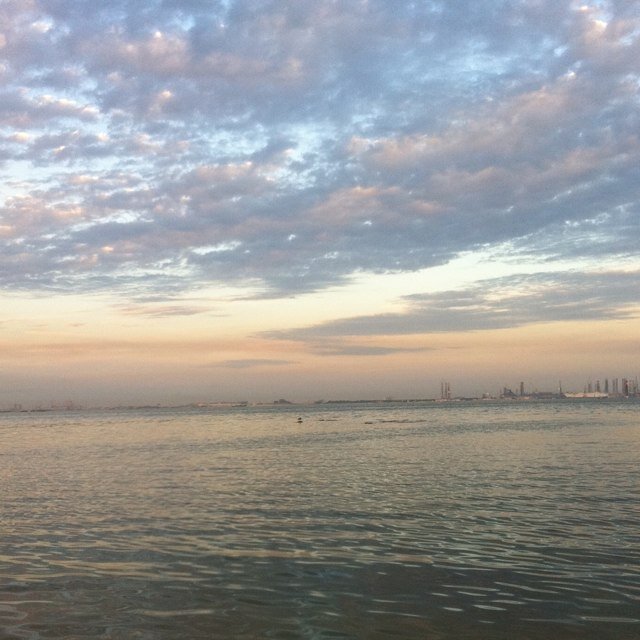 95_jass's profile picture. 