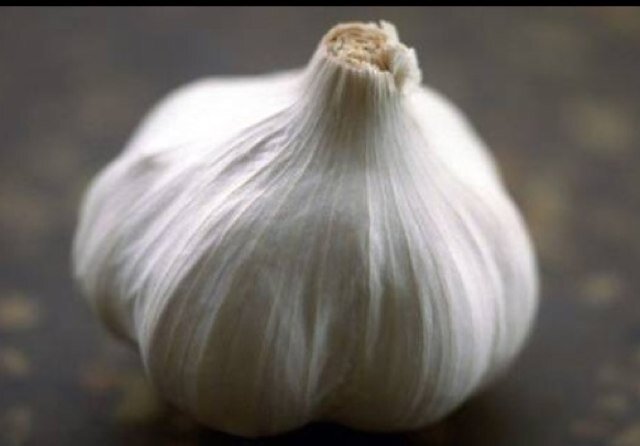 Aspiring to become a better Garlic