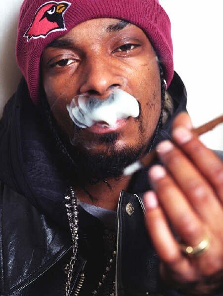 music aficionado, sports guru
