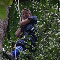 Dr. Erin Vogel 🦧🌿 (@vogel_erin) 's Twitter Profile Photo Dr. Erin Vogel 🦧🌿 (@vogel_erin) 's Twitter Profile Photo