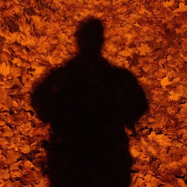 PedalErik's profile picture. My head is a rolling stone