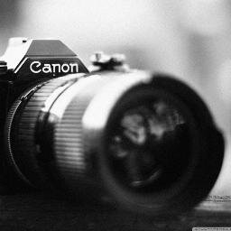 Camera playground. Place to share the picture perfect moments.