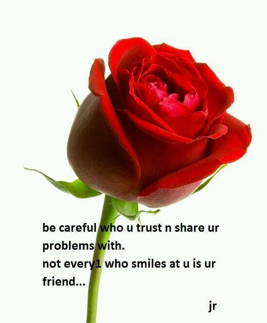 nikki102481's profile picture. 