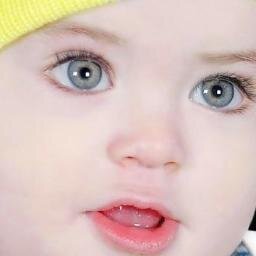 الشيخ معروف احمدو  محمدنا