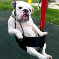 linkiloo (@hazelinki) 's Twitter Profile