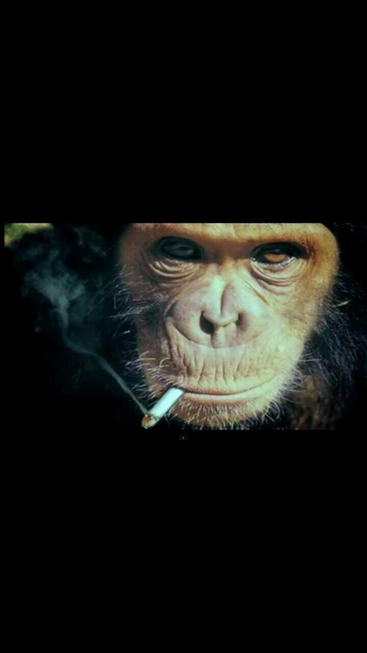 tu veux lire ma description ? suis moi et tu verras #magic