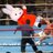 wise rabbitのアイコン
