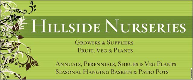 HIllsideN's profile picture. 