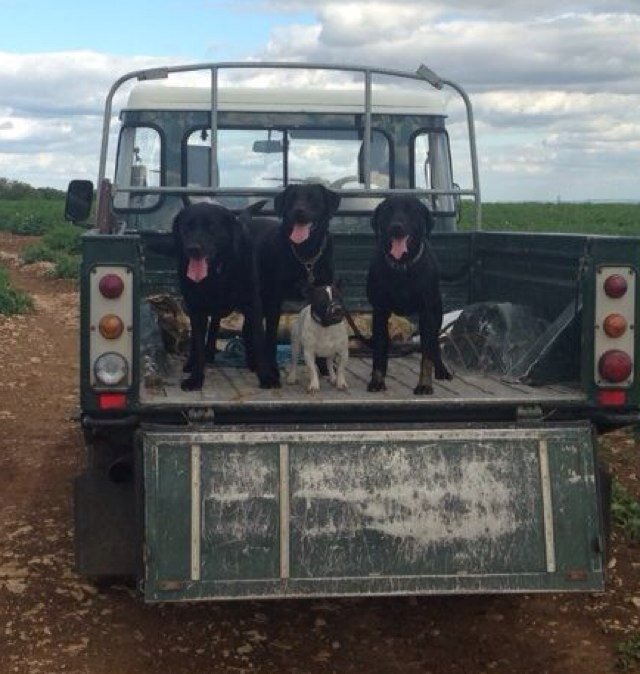 lucyradmoregrey's profile picture. 