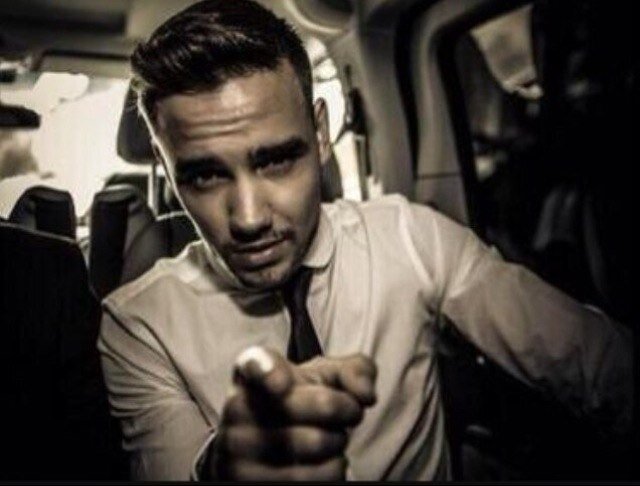 love one direction. hate bios. best bio ever