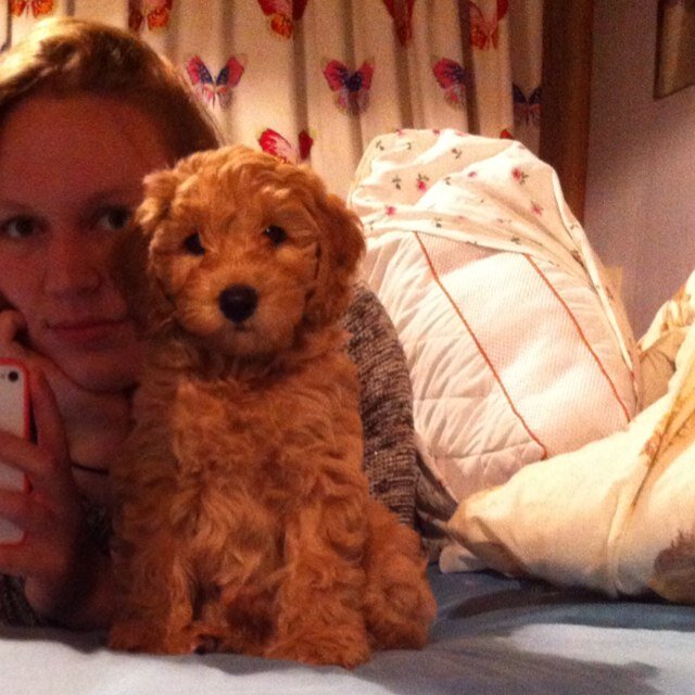 Angelaatjuh's profile picture. When you're thinking of giving up, remember why you've held on for so long