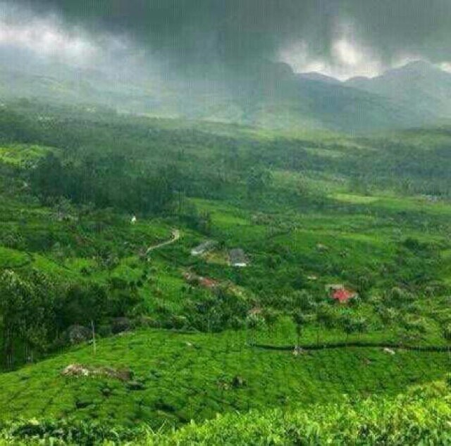 hh14311's profile picture. 