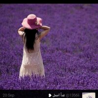 حجازيه رافعه ااراس (@moonfooofooo10) 's Twitter Profile