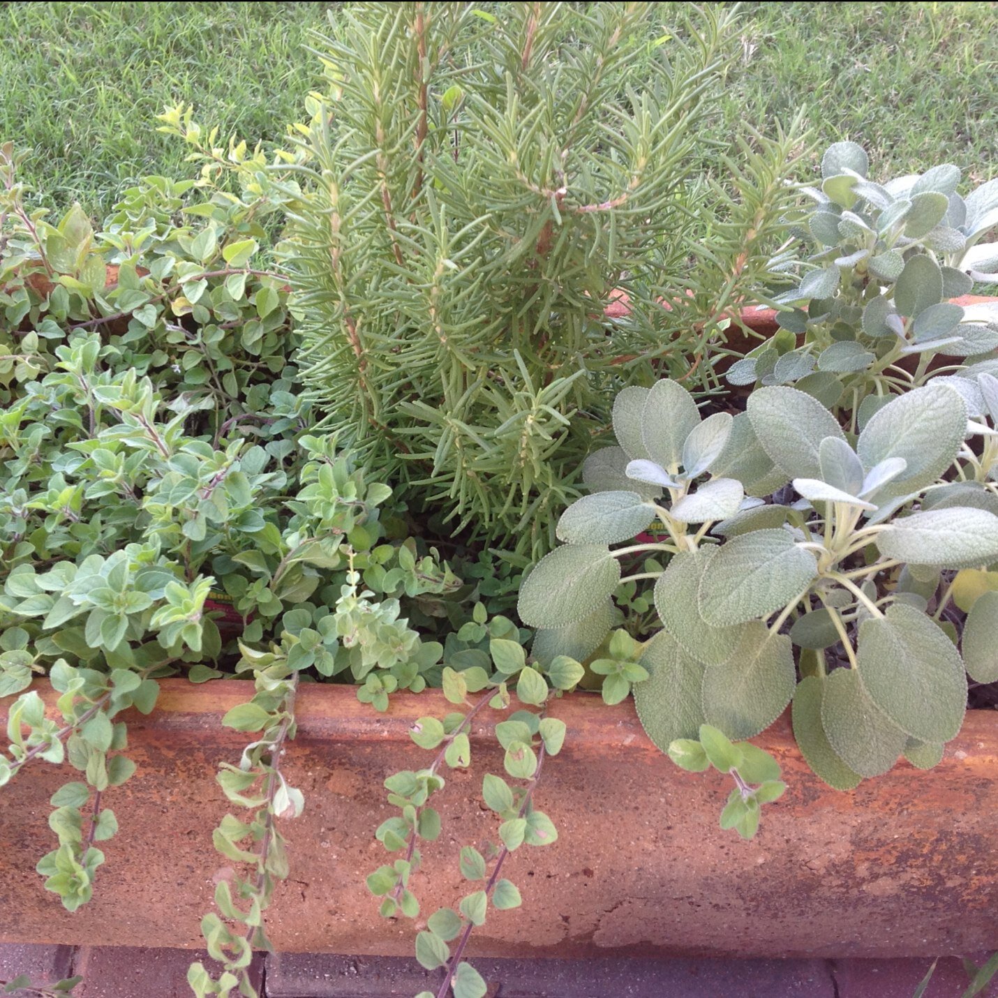 marvitta1's profile picture. mom, wife, American democrat