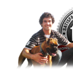 JackSjack0815's profile picture. I am a dog trainer and create interactive videos to help your dog live an enriching life. Subscribe to my dog training tips and be a pro pet trainer.