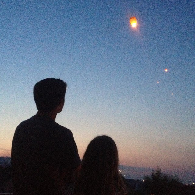 For my part I know nothing with any certainty, but the sight of the stars makes me dream.