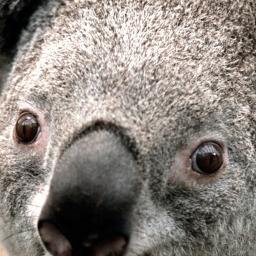 Jamie_Kennedy42's profile picture. Wannabe Actor! :D