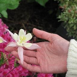 sobia_sk's profile picture. Finding my 'still point of the turning world.'