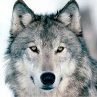 Lee Middle School (@leemiddle) 's Twitter Profile Photo