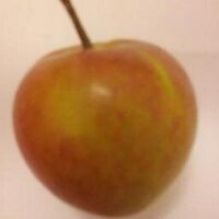 Public Health Lit (@publichealthlit) 's Twitter Profile Photo Public Health Lit (@publichealthlit) 's Twitter Profile Photo