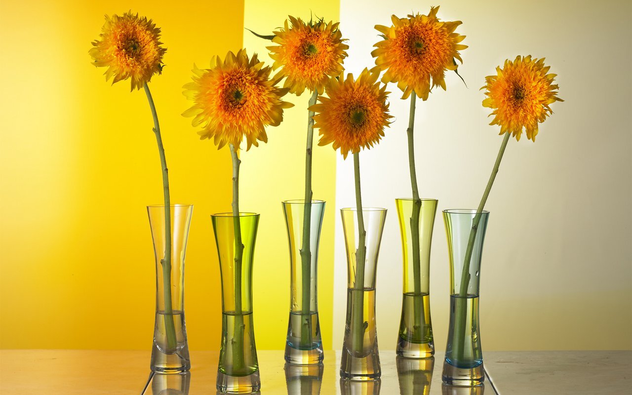 MaghrabiRahma's profile picture. 