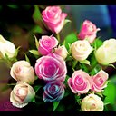 هدوء (@22_maramm) Twitter