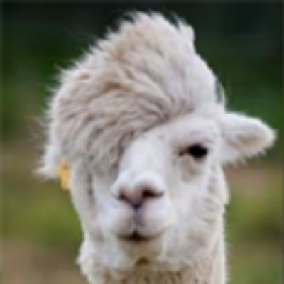 オシャレな画像