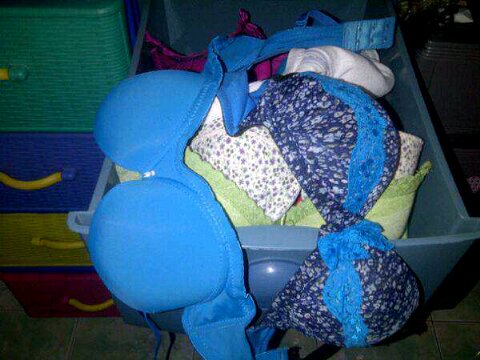 Share foto beha n cd punya sendiri,kiriman teman,n punya pacar..onani sambil nyiumin beha...