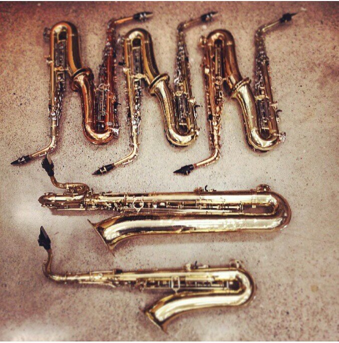 Average Male woodwind. 
You can break my reed but you can't break my swagg. 
Bassoon & Alto