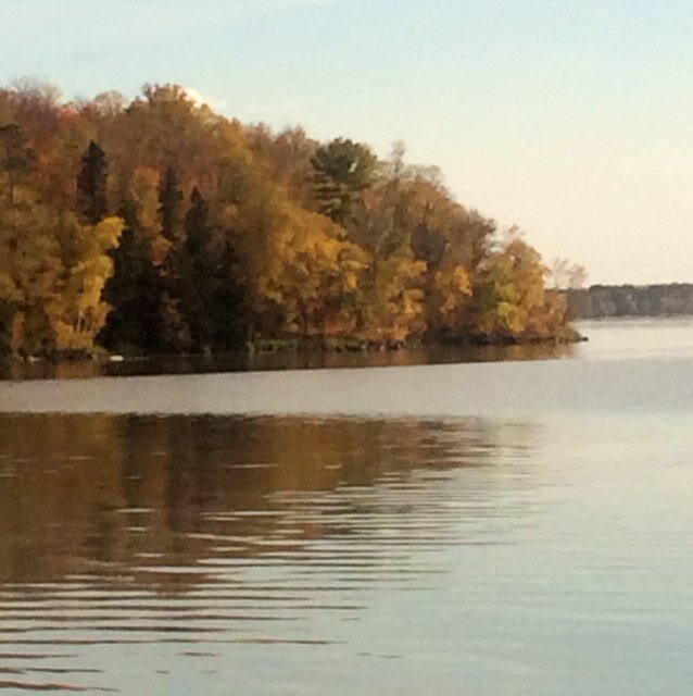 ljs1270's profile picture. 