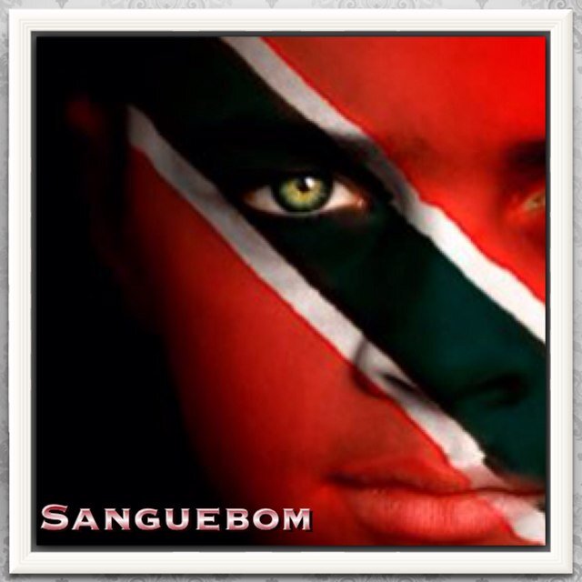 3rd degree Black Belt Bjj - Medical Exercise Specialist - level 4 Fascial Stretch Therapist - Registered Massage Therapist