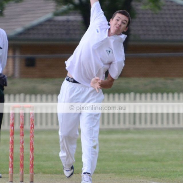 cricket :)