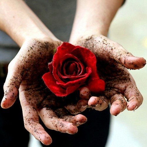 arleny44's profile picture. Te amooo