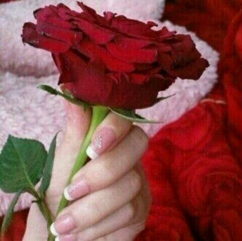 ساعيش حيآآتي ، لمن يبادلني مشآآعر المحبهه الصآآدقهه ♡! ولن تتوقف حيآآتي على شخص فآآرقتهه! ولا صديق خآآب الظن بهم...♡فقط خاااب الظن باالككثير ♡♡