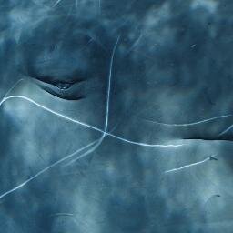 WhalebackWaddy's profile picture. attempts at being a human. absurd's the word.  85% birds, apparently.