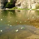 LeAnn Kramer - @m_rbvending - Twitter