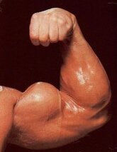 jorkaforce's profile picture. Cardio