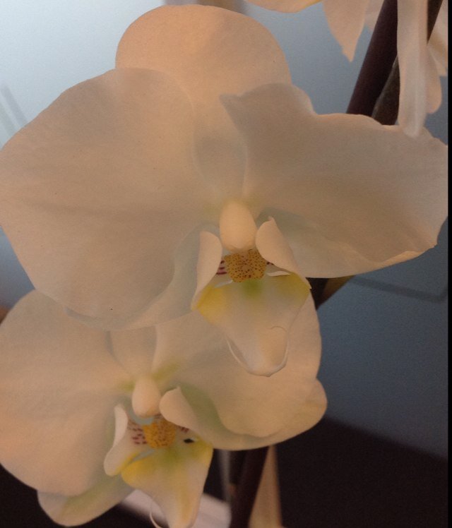 Hilde_Karlsen's profile picture. Ingeniør fast ansatt i Aker Solutions. På fritiden politiker i Stavanger Kommune. Motto: Ærlighet varer lengst............