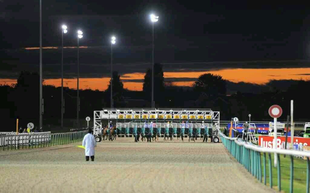 Specialising in polytrack horse racing from Wolverhampton and Kempton. with the odd turf tip in there. Aiming to make profit month to month.