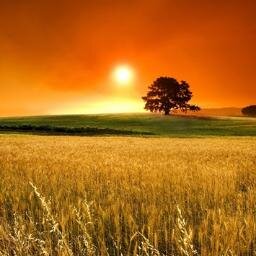 orangesky0620's profile picture. Twitter始めました。日々の色んな事をつぶやきます。のんびりしてますがよろしくお願いします。相互フォローお願いします。