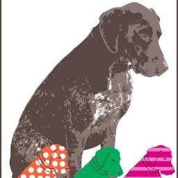 te_ju_re's profile picture. Informatikaria, arraunlari ohia, korrikalari eta bi gurpil zalea. Tech, rowing, running, biking. Estropada gorabeherak @estropadak  kontuan.