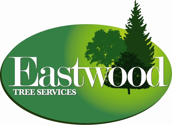 01449 760 780 - Arboricultural Company #Tree surgery #treesurgeons #eastwoodtrees