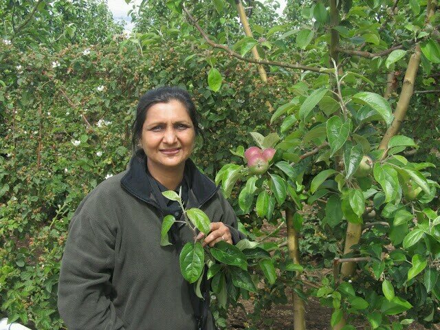 savitadalmia's profile picture. 