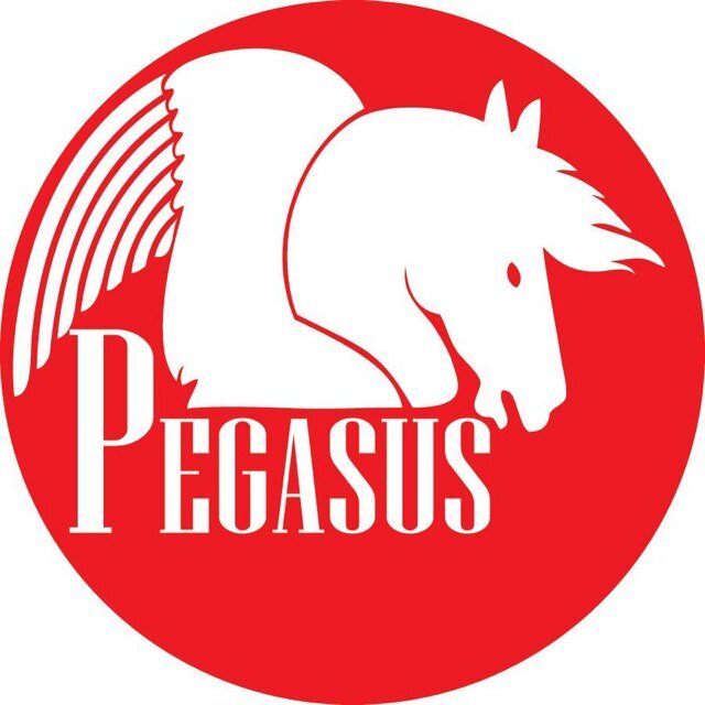 pegasusembrdrng's profile picture. Professional  Embroidering and decoration for Garments, Apparel and Sports Uniforms Services
