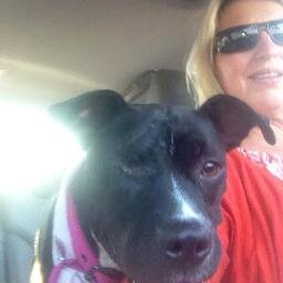 Sr. Talent Acquisition Professional, Wife, Step-Mother and dog-rescuer / Animal Lover.....  busy girl loving life!