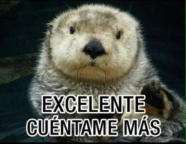 dane_frg's profile picture. 