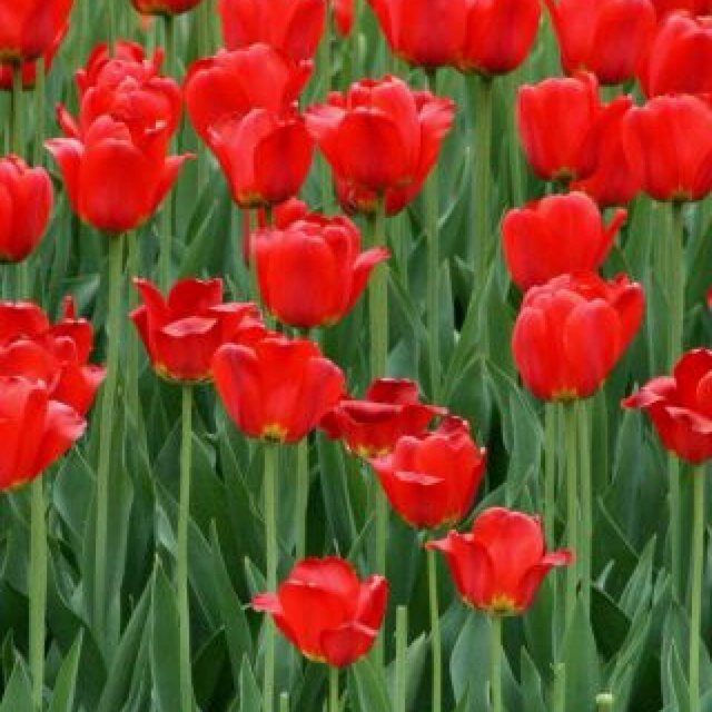 espeuve's profile picture. 